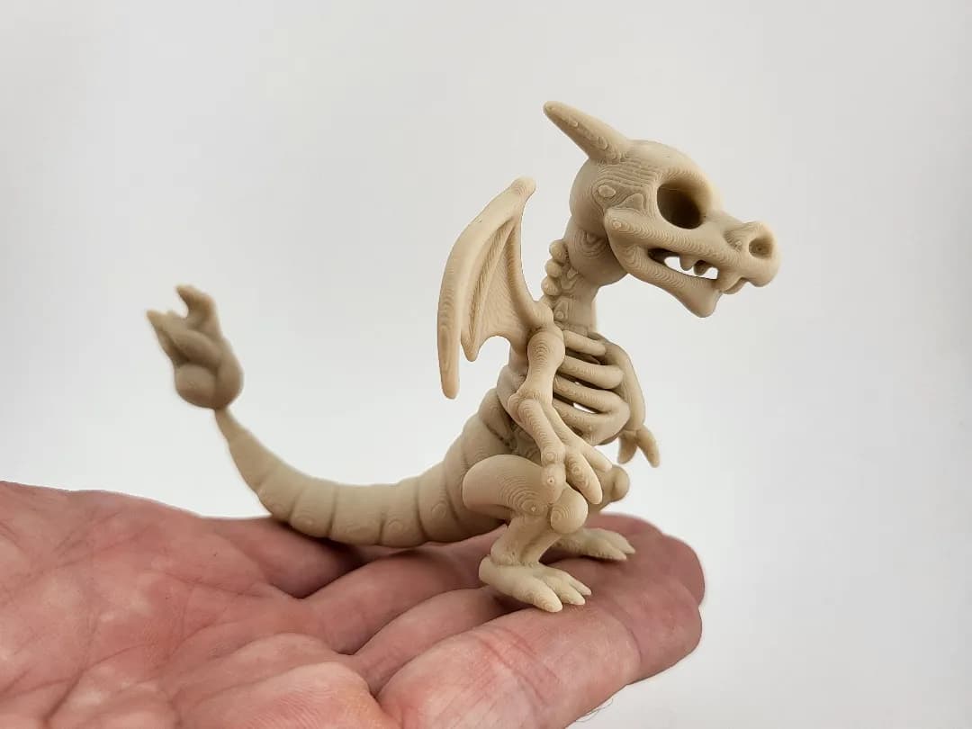 Esqueleto Fóssil de Charizard