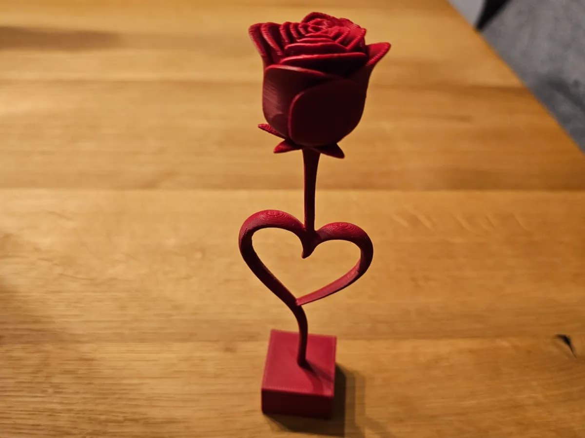 Rosa Eterna Coração
