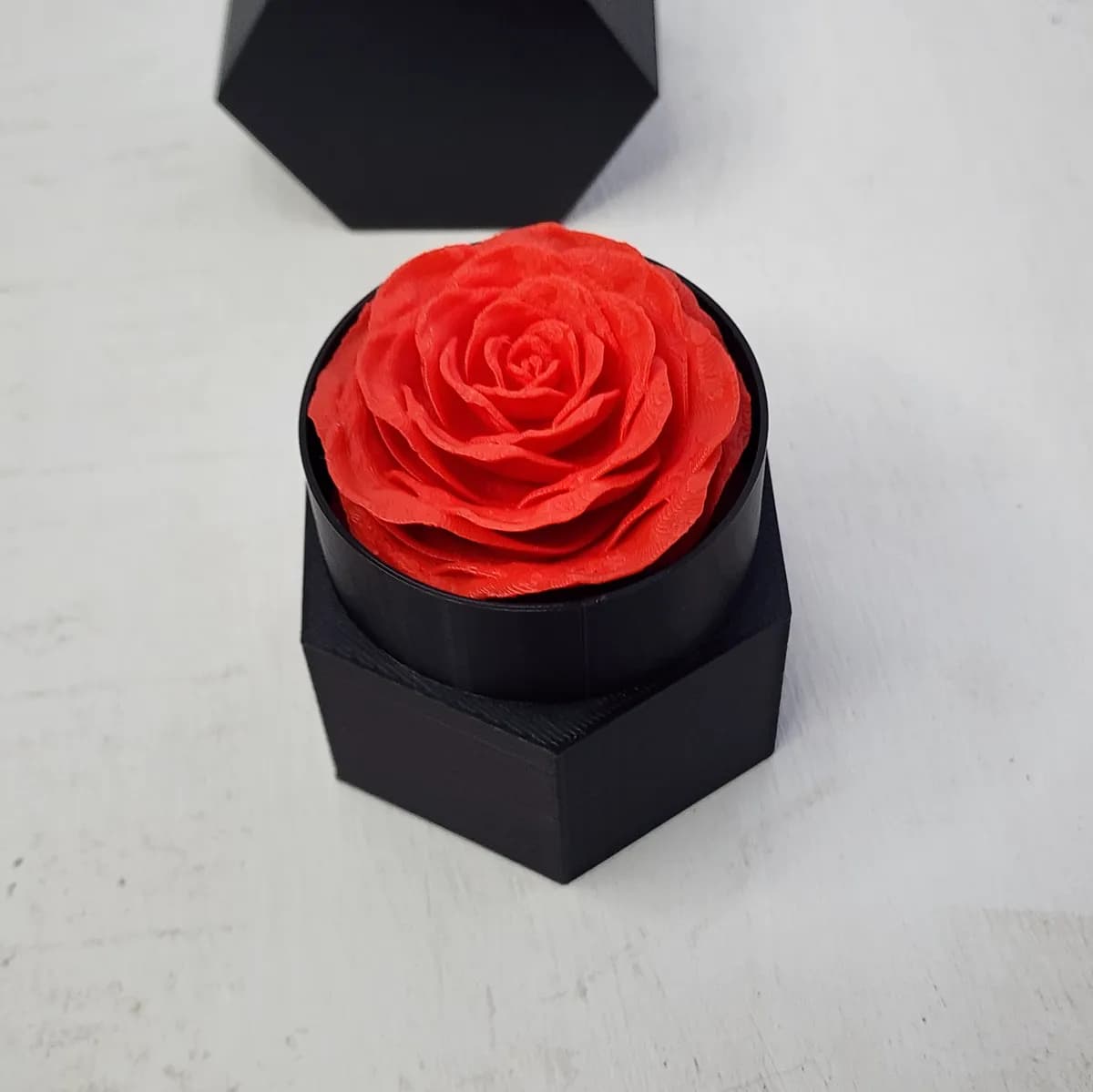 Rosa Eterna