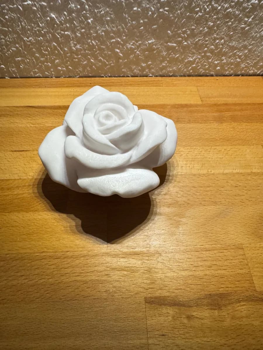 Rosa Decorativa