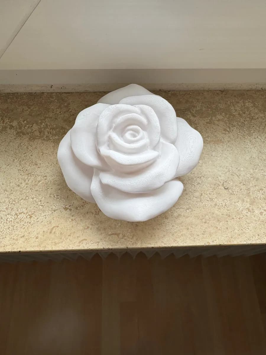 Rosa Decorativa